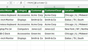 TRIM used in Excel to remove leading, trailing, and double-internal spaces from a Customer column.