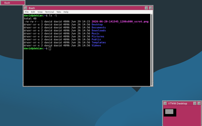 VTWM with a terminal window open.