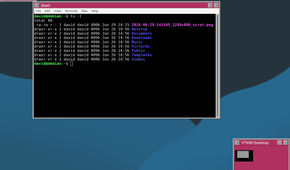 A VTWM with a terminal window open.