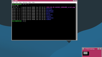 A VTWM with a terminal window open.