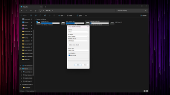 Windows Explorer open with the Format dialog box displayed.
