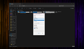 Windows Explorer open with the Format dialog box displayed.