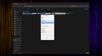 Windows Explorer open with the Format dialog box displayed.