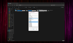 Windows Explorer open with the Format dialog box displayed.