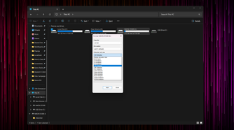 Windows Explorer open with the Format dialog box displayed.