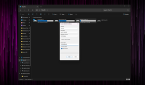 Windows Explorer open with the Format dialog box displayed.