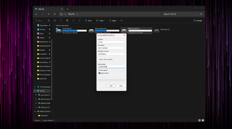 Windows Explorer open with the Format dialog box displayed.