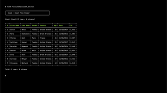 xleak running on the command line, showing a grid of values using ASCII line characters to simulate a table.