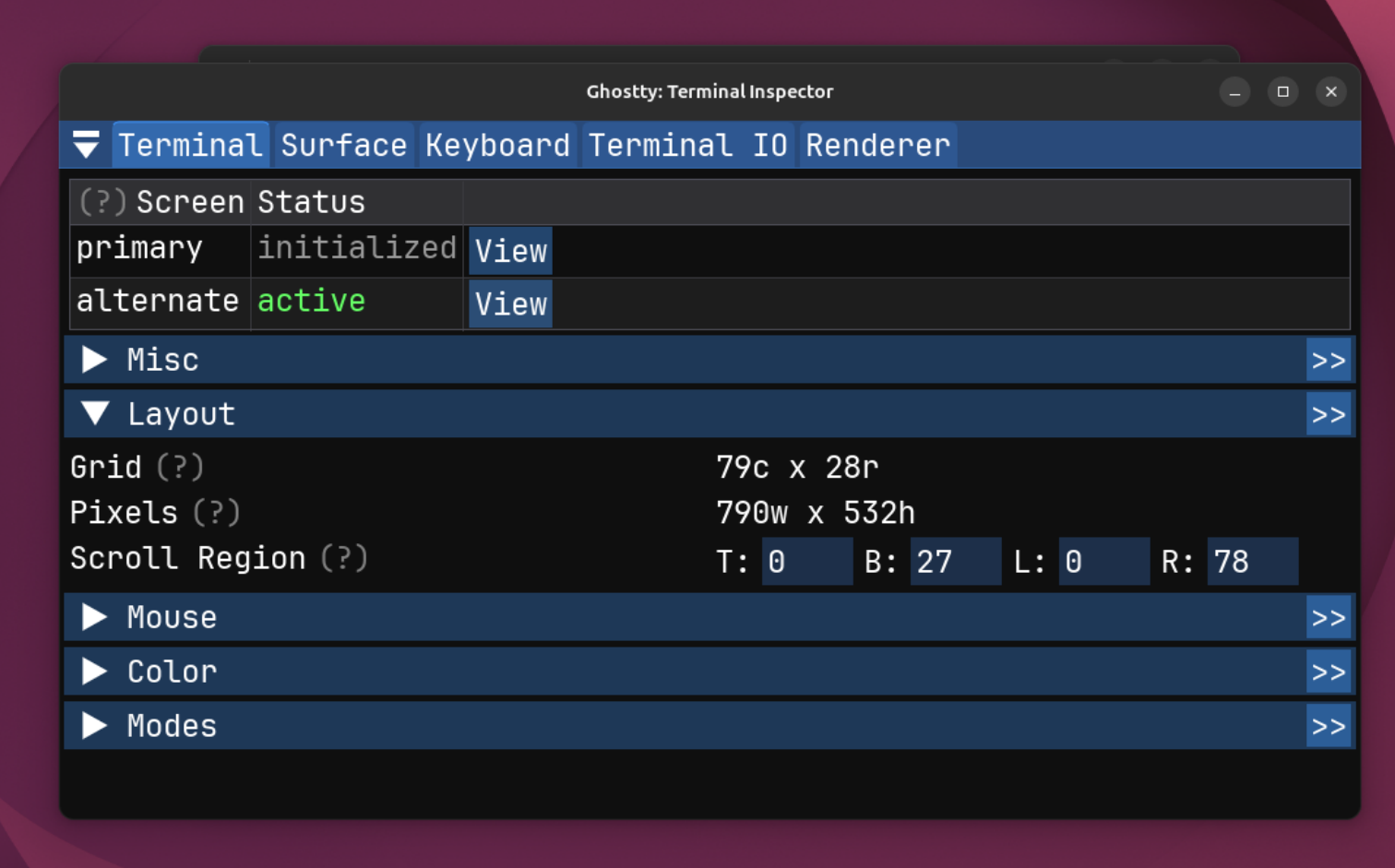Ghostty terminal inspector with different settings.