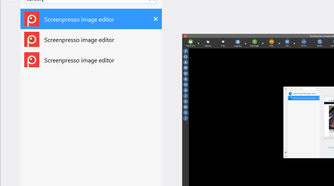 NTWind's Alt-Tab Terminator window showing 'screen' typed into the search bar, filtering for Screenpresso image editor.