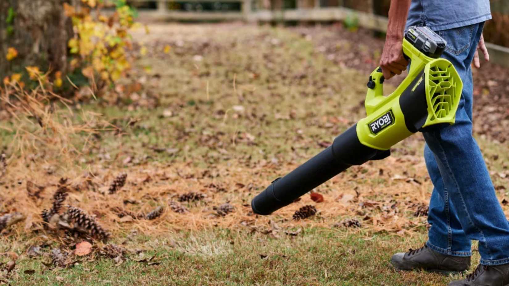Ryobi whisper series blower