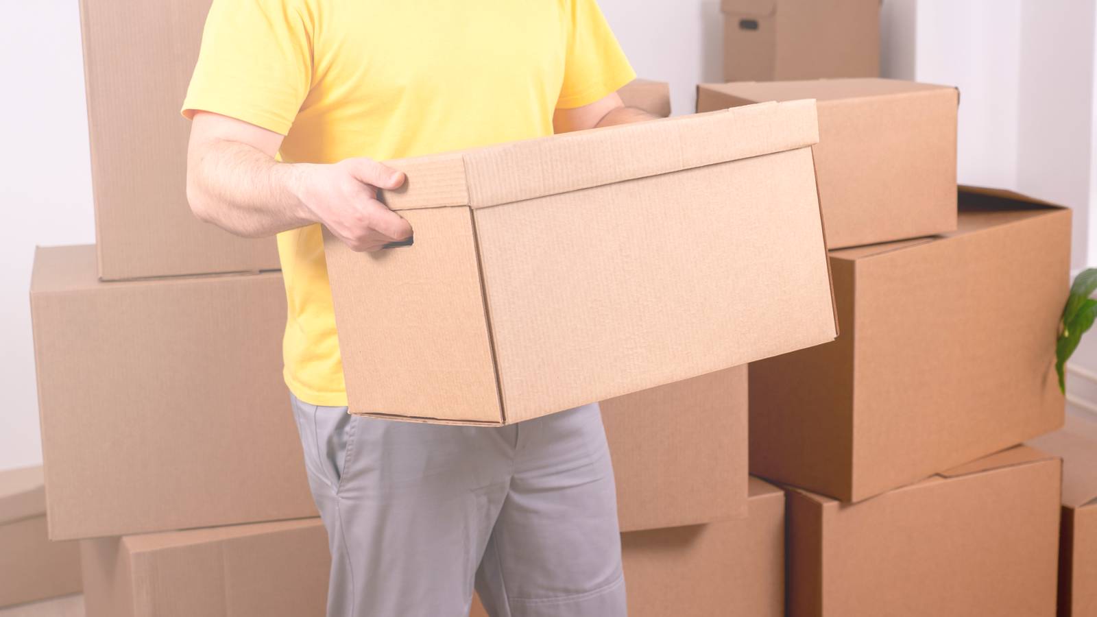 4 3D prints that make moving into a new apartment much less annoying
