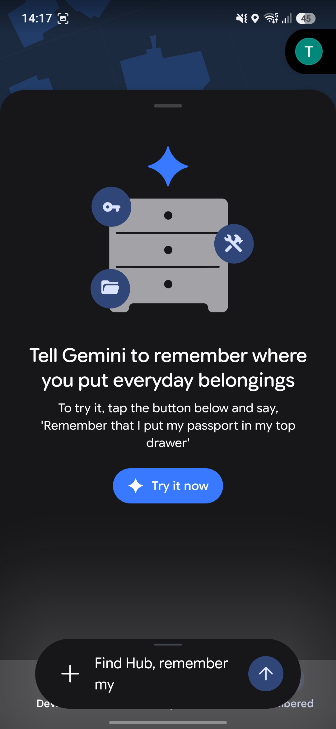 Screenshot of Find Hub with the Gemini prompt open.