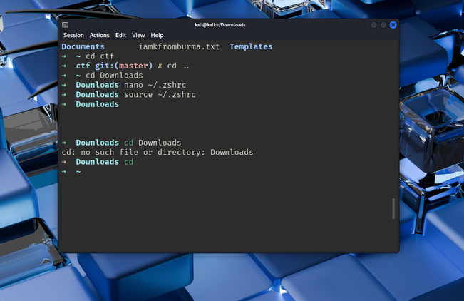 The cd command after installing Oh My Zsh.