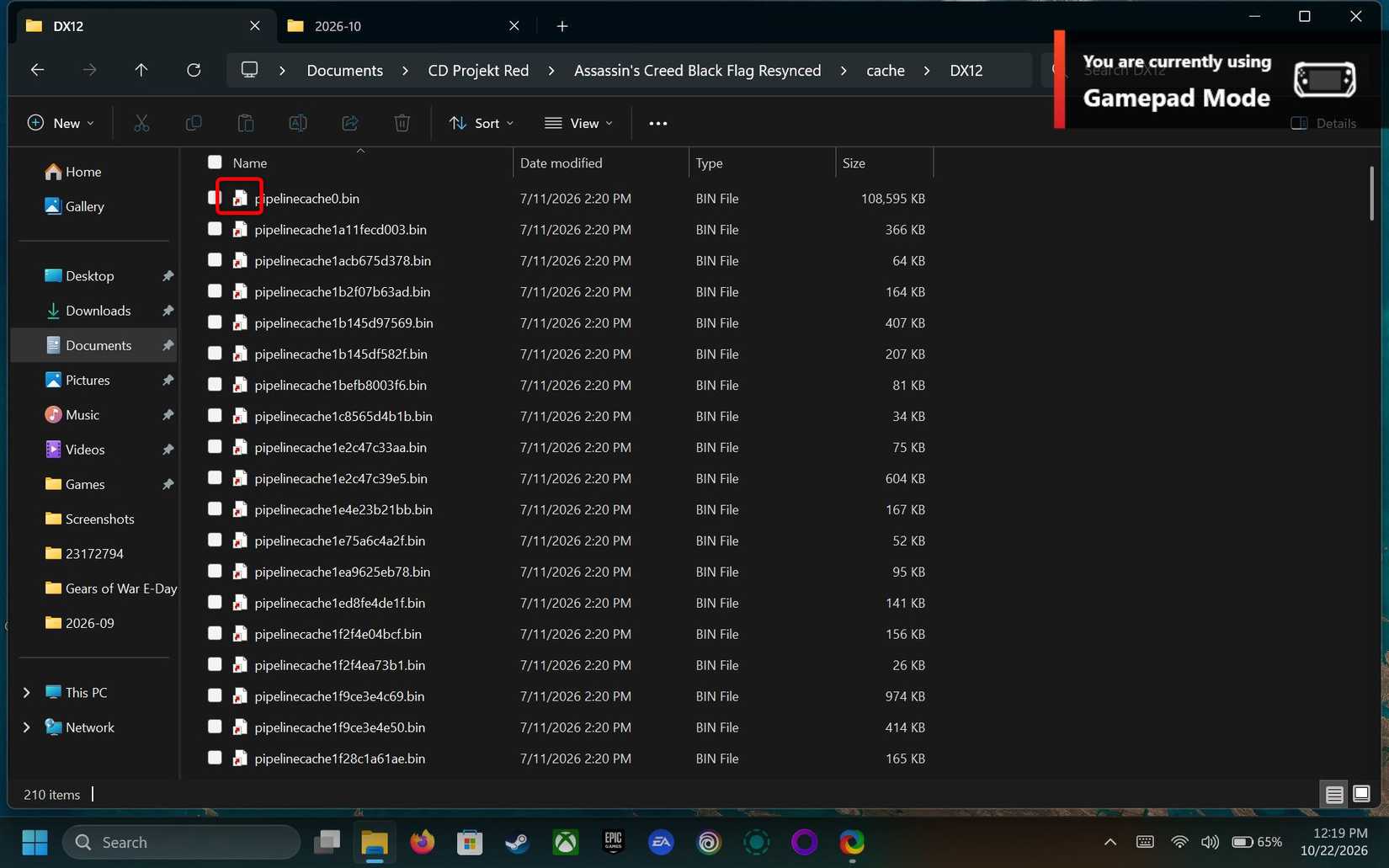 A folder open in Windows File Explorer, showing many files.