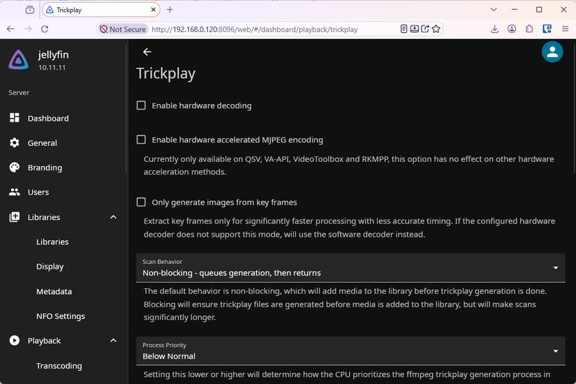Jellyfin's Trickplay settings. 