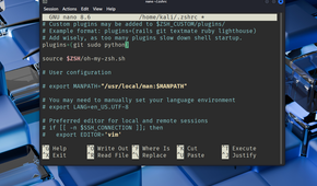 Oh My Zsh plugins showing three plugins in use.