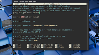 Oh My Zsh plugins showing three plugins in use.