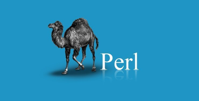 These are the 5 most underrated programming languages of all time