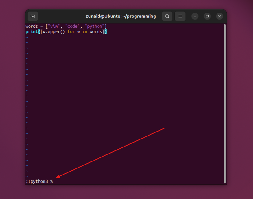 Выполнение программы в Vim Запуск программы на Python в Vim