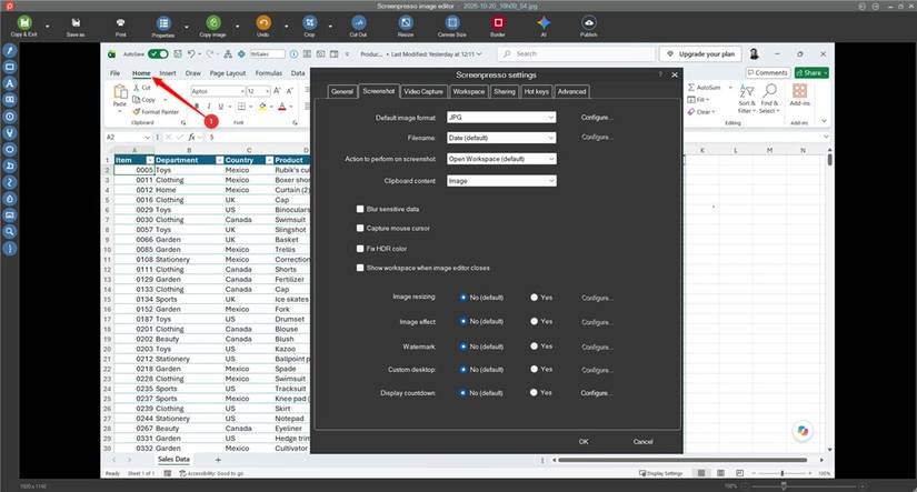 Screenpresso image editor shows settings overlaid on a marked up Excel worksheet with the screenshot tab open.