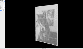 A photo of a housecast is visible in a simulation of a lenticular 3D print.