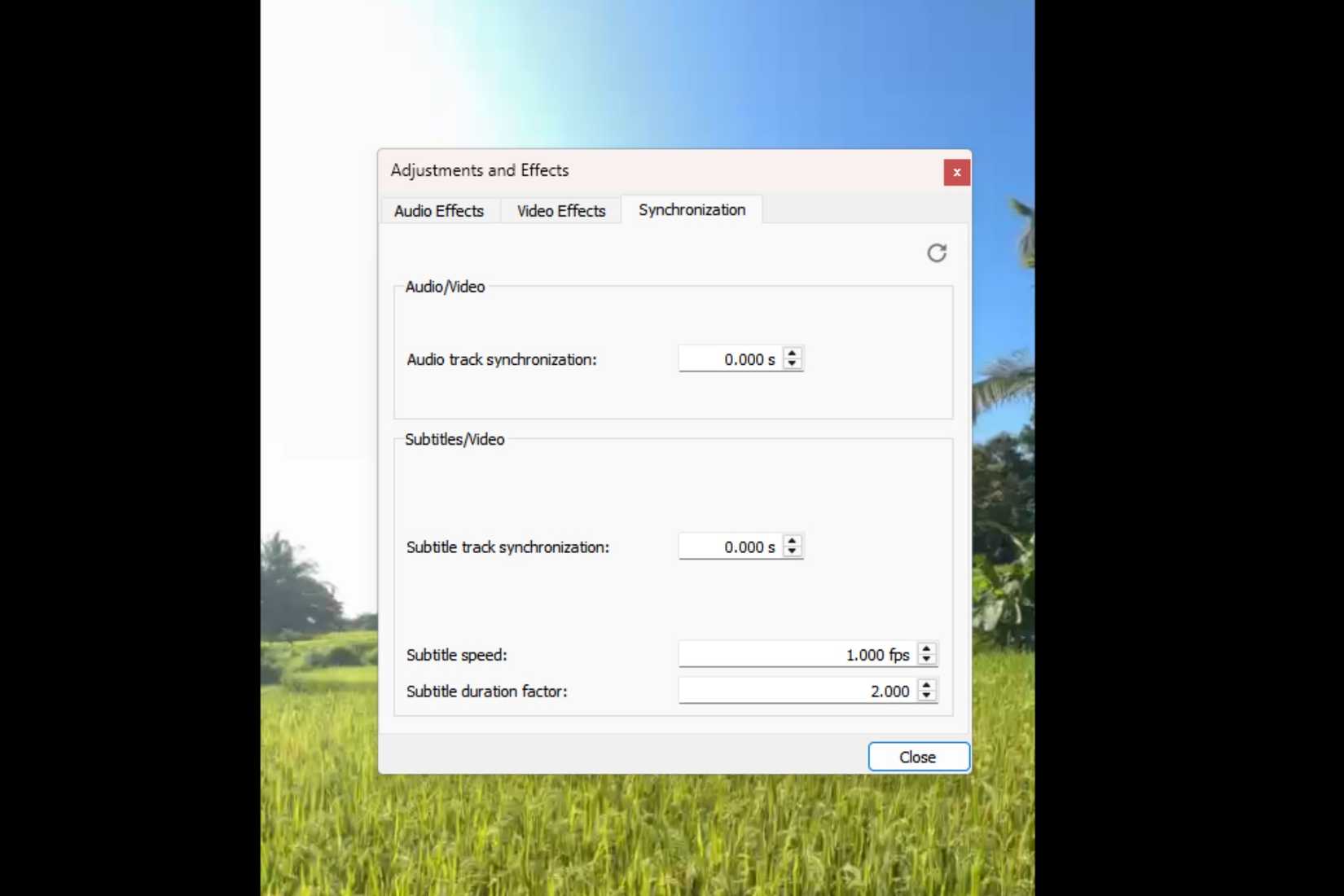 VLC's built-in playback settings allow you to make several adjustments.