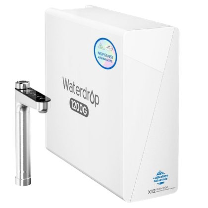 Fresh starts for healthier routines: Waterdrop filters for Prime Big ...