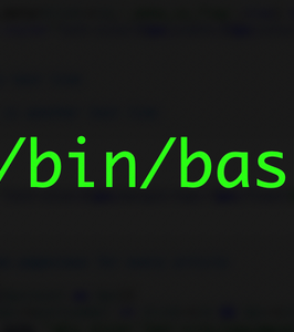 Bash Shell
