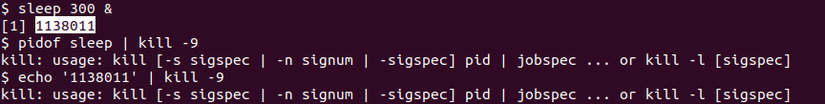 Using xargs in Combination With bash -c to Create Complex Commands