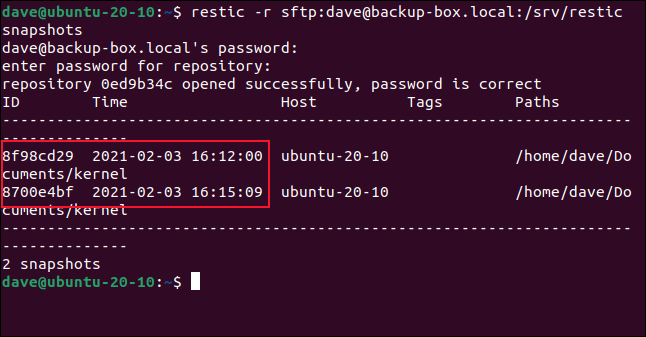 How to Use the restic Backup Program on Linux