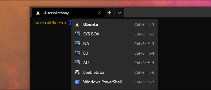 What is Windows Subsystem For Linux (WSL), and How Do You Use It?