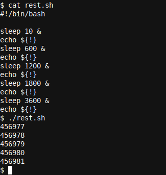How to Use Multi-Threaded Processing in Bash Scripts