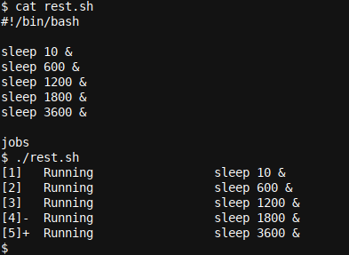How to Use Multi-Threaded Processing in Bash Scripts