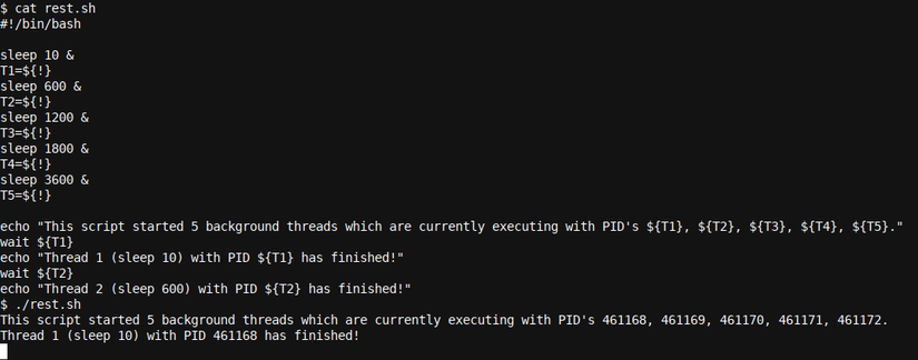 How to Use Multi-Threaded Processing in Bash Scripts