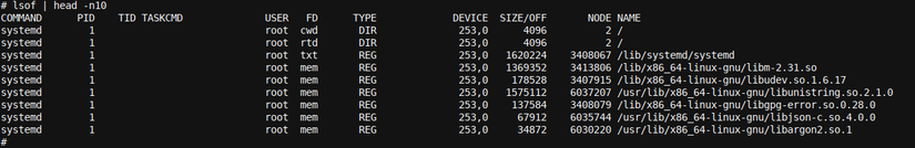 How to Use lsof in Linux (With a Practical Example)