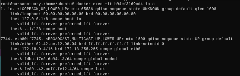 How to Get a Docker Container's IP Address From the Host