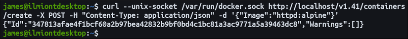 How to Get Started Using the Docker Engine API
