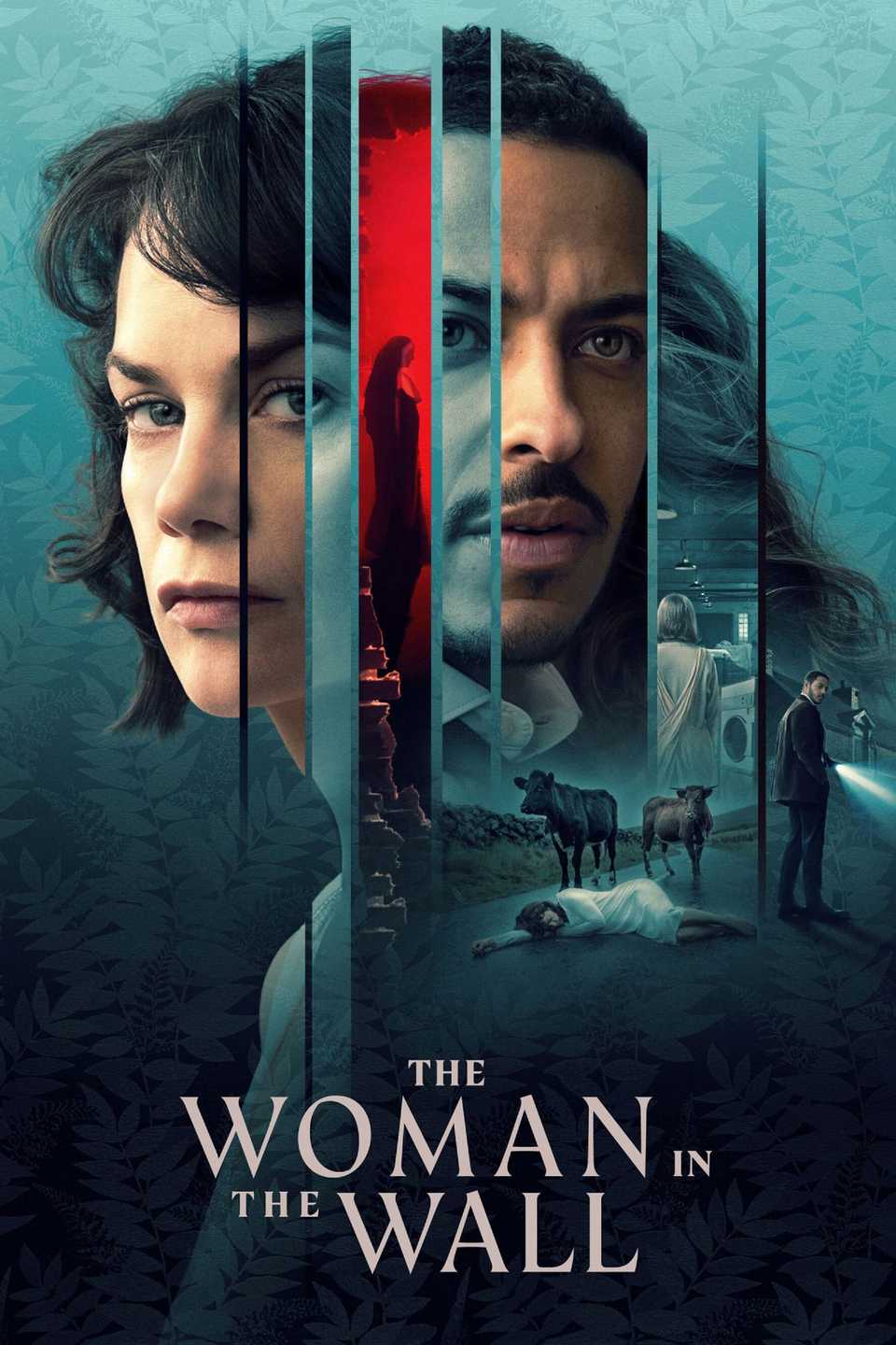 The Woman on the Wall TV Series Poster