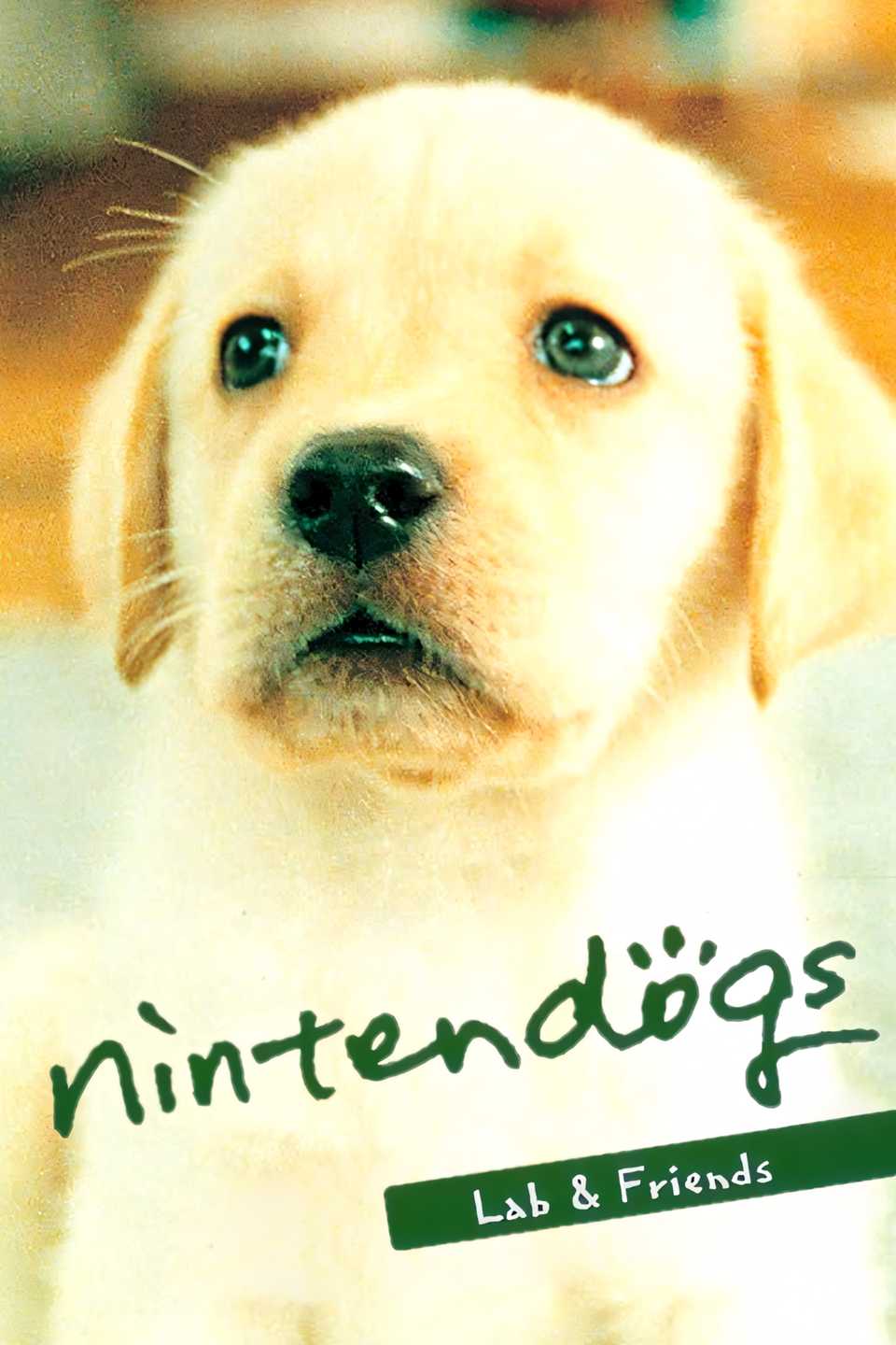 I Need These 10 Great DS Games on the Switch 2