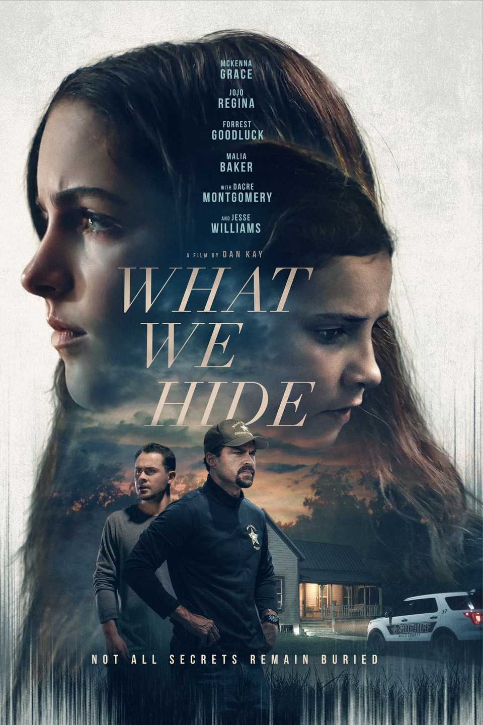 what-we-hid-movie-poster.jpeg