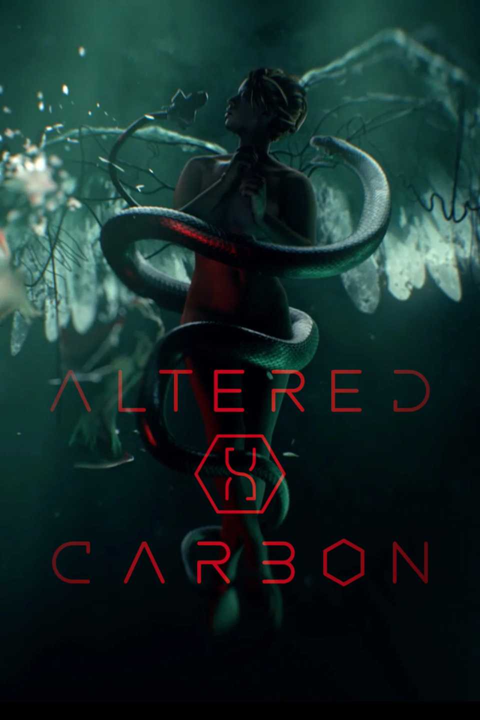 хиты Netflix — иллюстрация 5 к материалу хиты Netflix — иллюстрация 5 к материалу