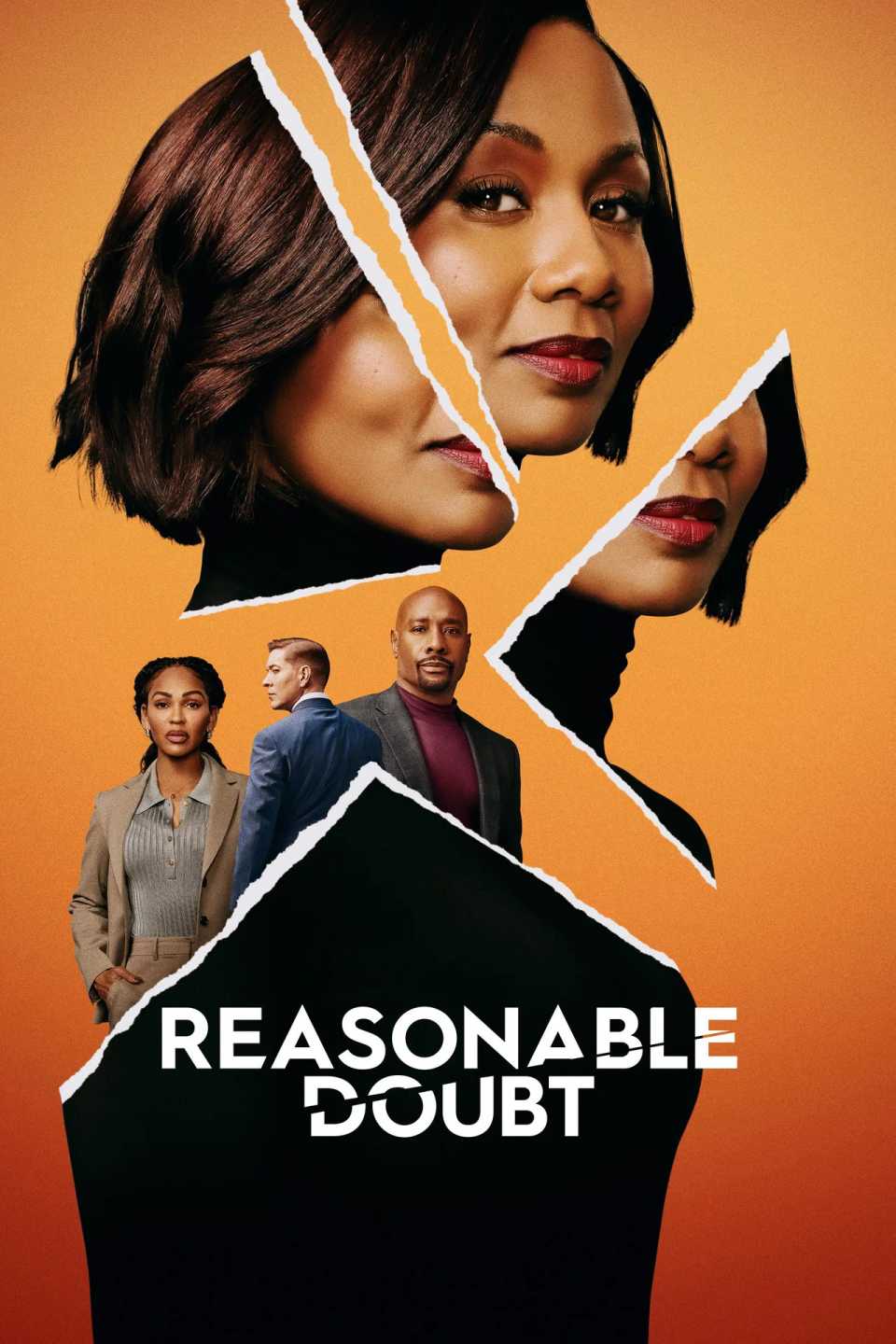 Постер сериала Разумное сомнение