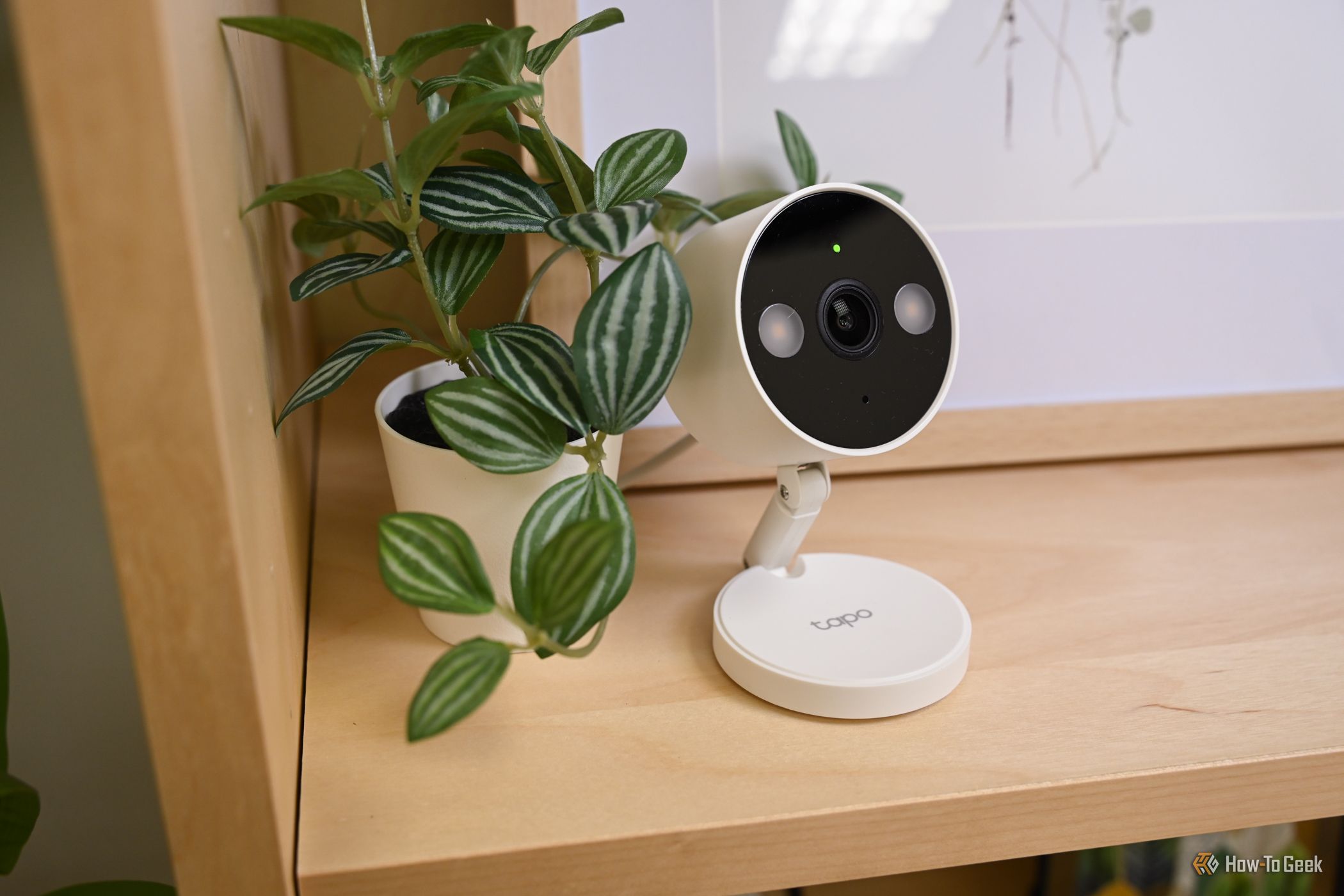 TP-Link's Kasa and Tapo Devices Are (Partially) Merging