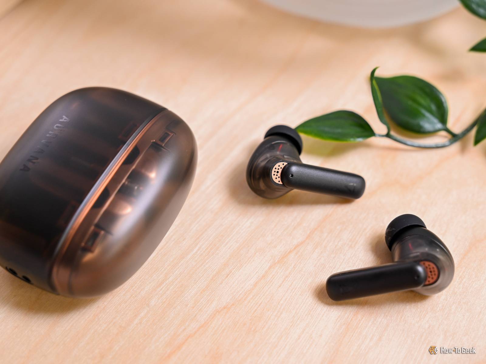 Creative Aurvana Ace Review: Brilliant Playback With Iffy Noise