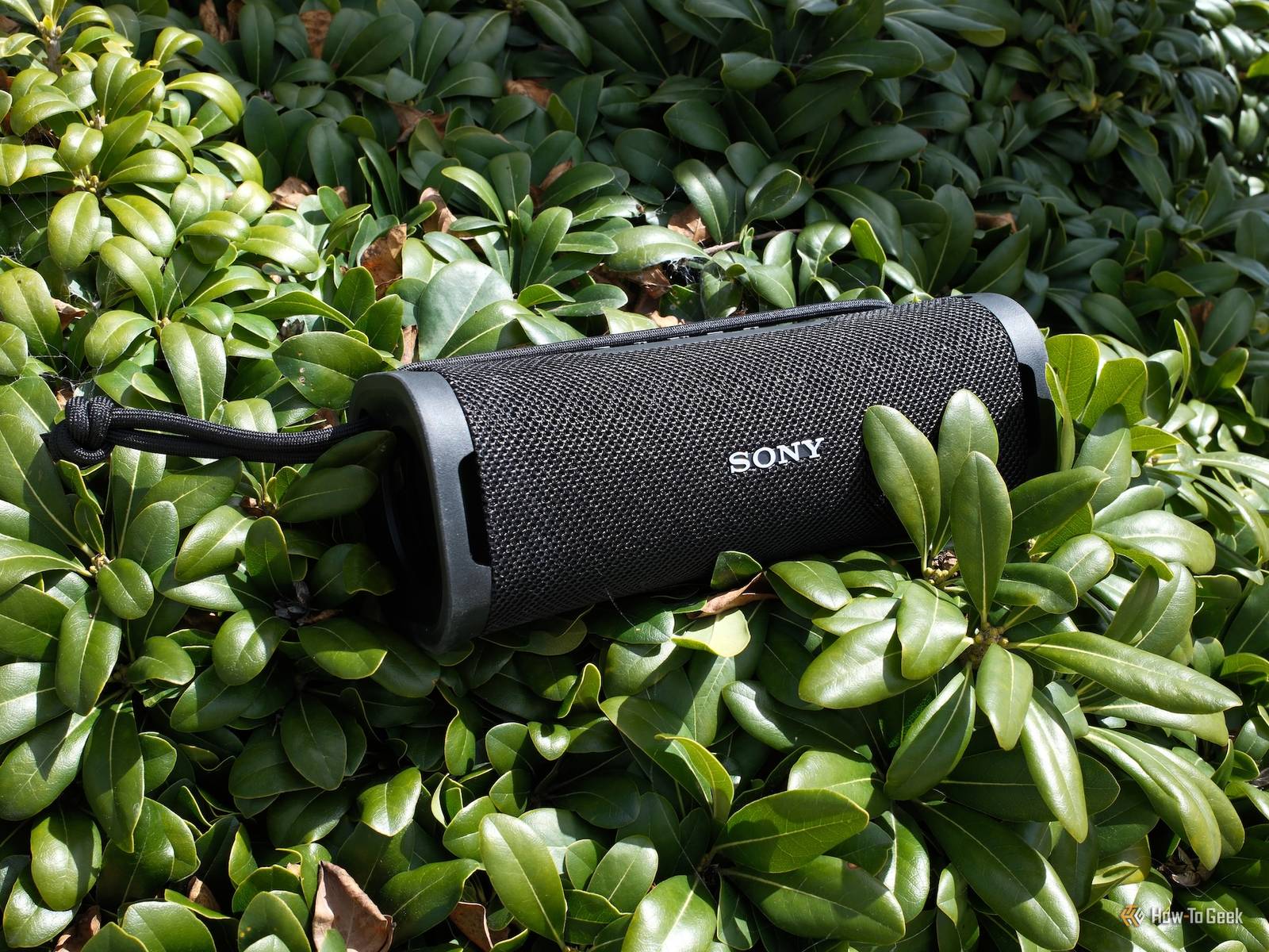 sony-ult-field-1-sitting-on-a-