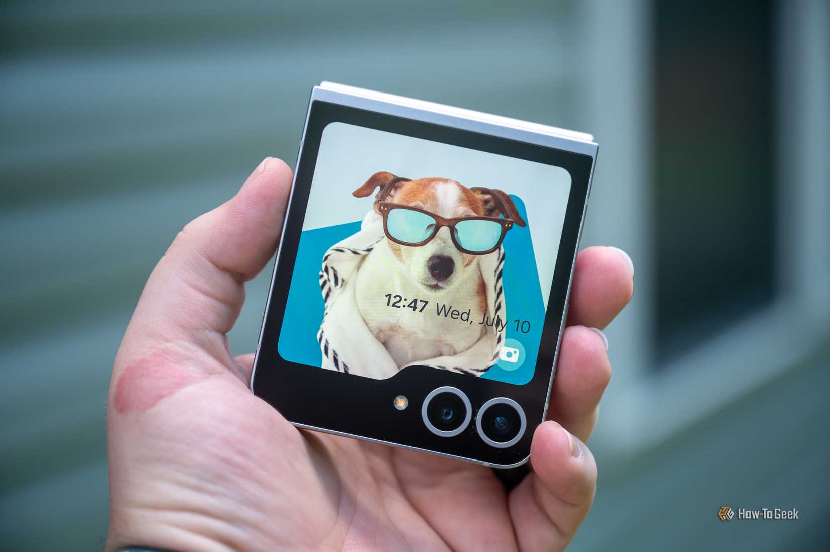 Flip 6 cover display dog glasses