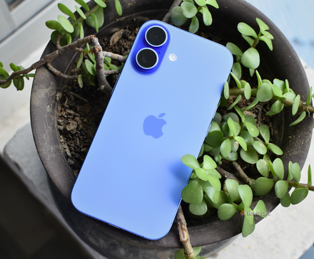 iPhone 16 в цвете ультрамарин на фоне цветочного горшка