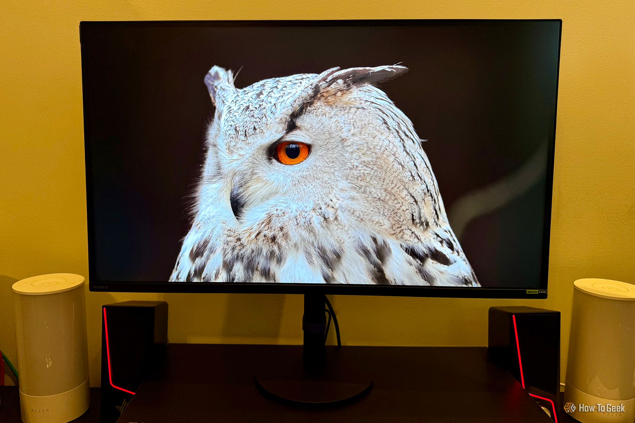 SONY INZONE M9 Ⅱ Sony INZONE M9 II Review - RTINGS.com