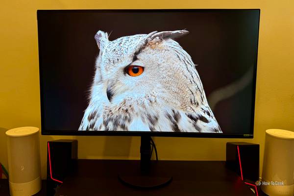 Sony Inzone M9 II Monitor on a desktop with an image of a owl on the display